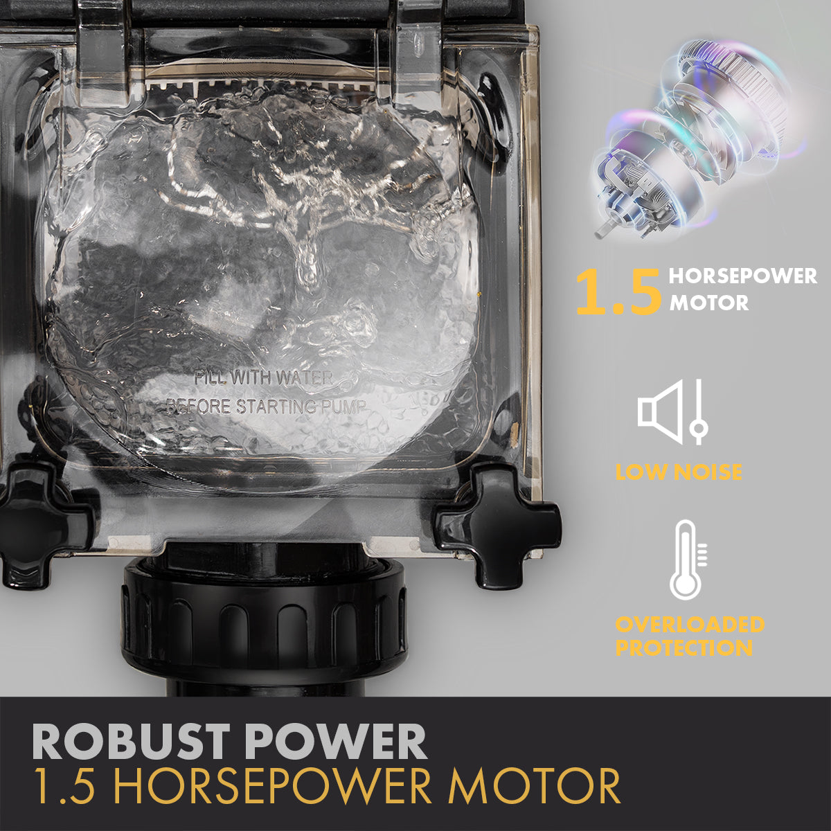 XtremepowerUS 1.5HP High Flow Dual Speed Swimming Pool Pump In Ground Pool Filter Inground Super Flow