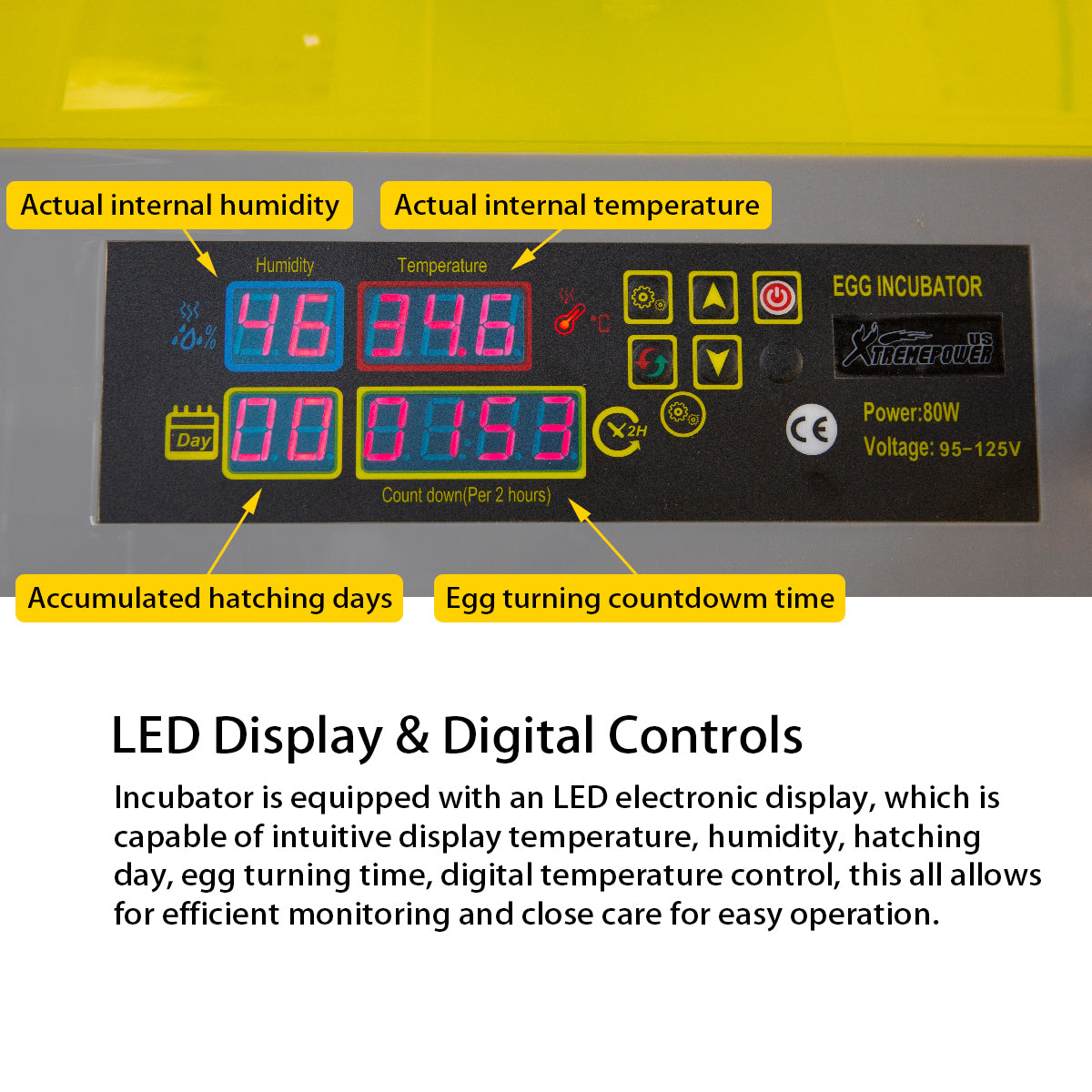 XtremepowerUS 48 Egg Incubator Digital Temp Automatic Turner Hatcher Chicken